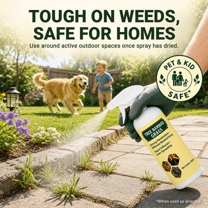 Fast-Acting Natural Weed Killer with Long-Lasting Protection -up