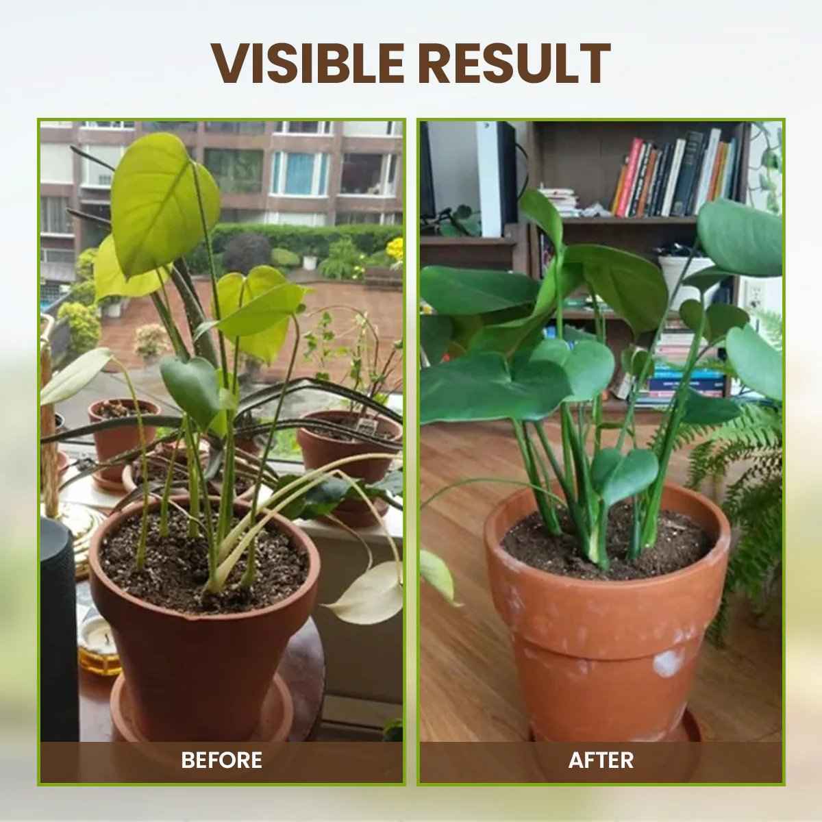 2026🏆✨LAST DAY SALE 70% OFF🔥Seasonal Promotion🔥-Soil Pro Activator
