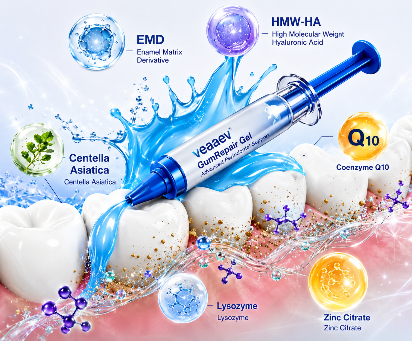 Veaaev periodontal gel illustration featuring EMD, HMW-HA, Centella Asiatica, Coenzyme Q10, Lysozyme and Zinc Citrate